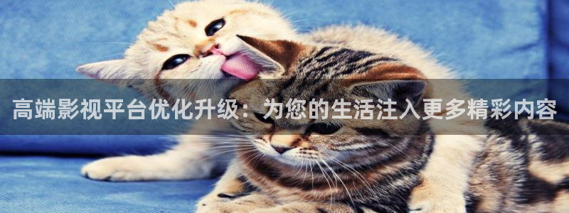 好電影99蜜桃：高端影視平臺優化升級：為您的生活注入更多精彩內容